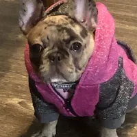 processed/3a7ac16e-f46b-425a-ab13-81927e7362c7/facility/02495944-d281-4f86-b0d3-303af8bacfa5