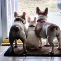 processed/3a7ac16e-f46b-425a-ab13-81927e7362c7/facility/2894a58c-830c-4d74-b07f-e55391d07ed9