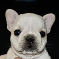 processed/3a7ac16e-f46b-425a-ab13-81927e7362c7/facility/398befbb-905b-4d50-99ad-cd3b4ba84441