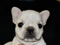 processed/3a7ac16e-f46b-425a-ab13-81927e7362c7/facility/398befbb-905b-4d50-99ad-cd3b4ba84441