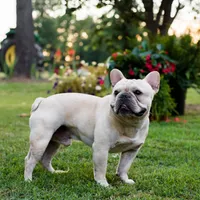 processed/3a7ac16e-f46b-425a-ab13-81927e7362c7/facility/54d6e708-bf20-4d39-ab9e-6819ca4a0839