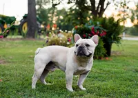 processed/3a7ac16e-f46b-425a-ab13-81927e7362c7/facility/54d6e708-bf20-4d39-ab9e-6819ca4a0839