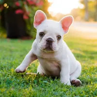 processed/3a7ac16e-f46b-425a-ab13-81927e7362c7/facility/5c11fab5-9754-4813-9e5c-3ceb6ef57fca