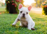 processed/3a7ac16e-f46b-425a-ab13-81927e7362c7/facility/5c11fab5-9754-4813-9e5c-3ceb6ef57fca