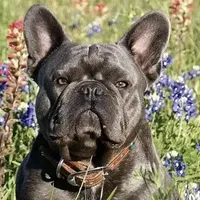 processed/3a7ac16e-f46b-425a-ab13-81927e7362c7/facility/664bb0c4-176e-45e6-8a22-3db08ea8dbc8