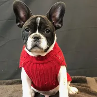 processed/3a7ac16e-f46b-425a-ab13-81927e7362c7/facility/99608264-da6f-47d0-8ede-355e7a500781