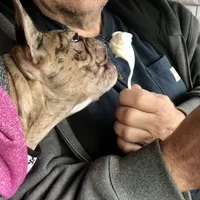 processed/3a7ac16e-f46b-425a-ab13-81927e7362c7/facility/e2d8d1e4-6c0e-4a03-8165-422320865427