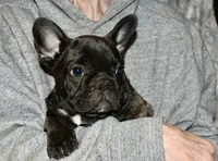 processed/3a7ac16e-f46b-425a-ab13-81927e7362c7/listing/8edce7c5-3a0f-4b0a-bfd3-c173eb0e1ccf/70ec1f83-c63b-452e-acf5-c214b4ca78a3