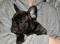 processed/3a7ac16e-f46b-425a-ab13-81927e7362c7/listing/8edce7c5-3a0f-4b0a-bfd3-c173eb0e1ccf/95a2db70-7cfd-4c15-8267-50c8320b2984