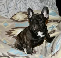 processed/3a7ac16e-f46b-425a-ab13-81927e7362c7/listing/8edce7c5-3a0f-4b0a-bfd3-c173eb0e1ccf/bb58b21d-b5e4-40f5-a032-133d52d5cc93