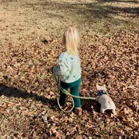 Cora, a female French Bulldog for sale in Coleman, OK – Photo 4 of 10