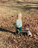Cora, a female French Bulldog for sale in Coleman, OK – Photo 4 of 10