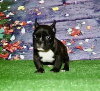 processed/3a7ac16e-f46b-425a-ab13-81927e7362c7/listing/da44b1f3-2bc4-4296-9de5-542882944139/121c31c5-a6fb-4bbc-9edd-ca99c3fe1ed8