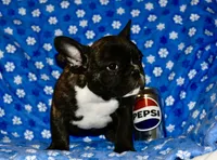 processed/3a7ac16e-f46b-425a-ab13-81927e7362c7/listing/da44b1f3-2bc4-4296-9de5-542882944139/33518fac-aa10-4968-8864-74f4e4d5c6bf