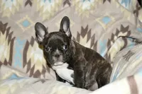 processed/3a7ac16e-f46b-425a-ab13-81927e7362c7/listing/da44b1f3-2bc4-4296-9de5-542882944139/8cefb0b0-96b5-4fa7-beea-7136e377cd93