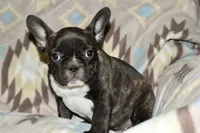 processed/3a7ac16e-f46b-425a-ab13-81927e7362c7/listing/da44b1f3-2bc4-4296-9de5-542882944139/8d52e2be-fbd0-425e-b1c8-526251156562