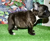 processed/3a7ac16e-f46b-425a-ab13-81927e7362c7/listing/da44b1f3-2bc4-4296-9de5-542882944139/98dcb031-5fe6-460f-ae58-d517cf9a7435