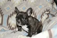 processed/3a7ac16e-f46b-425a-ab13-81927e7362c7/listing/da44b1f3-2bc4-4296-9de5-542882944139/a6de5509-5381-4c00-b4ca-4593edd5fd9b