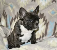 processed/3a7ac16e-f46b-425a-ab13-81927e7362c7/listing/da44b1f3-2bc4-4296-9de5-542882944139/cff103b3-ad66-4e0a-a51c-54cea660041c