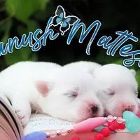 processed/3a7d16b6-fef9-4d2b-ab61-42d354c7a74d/facility/1ea7fa1d-0ee9-4a5d-a111-d27c8afea54a