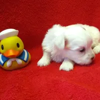 processed/3a7d16b6-fef9-4d2b-ab61-42d354c7a74d/facility/28370a04-f847-49a7-ba21-46ff64c23f23