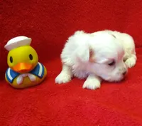 processed/3a7d16b6-fef9-4d2b-ab61-42d354c7a74d/facility/28370a04-f847-49a7-ba21-46ff64c23f23