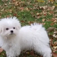 processed/3a7d16b6-fef9-4d2b-ab61-42d354c7a74d/facility/66d8734b-b11b-425f-9518-ee2ccd9d3f11