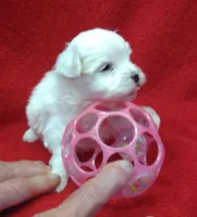 processed/3a7d16b6-fef9-4d2b-ab61-42d354c7a74d/facility/8c8bf471-6875-48ca-a657-dabae0d70602