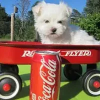 processed/3a7d16b6-fef9-4d2b-ab61-42d354c7a74d/facility/e9ef5c82-a8a6-45bc-b371-1dc8ce8c1397