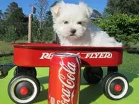 processed/3a7d16b6-fef9-4d2b-ab61-42d354c7a74d/facility/e9ef5c82-a8a6-45bc-b371-1dc8ce8c1397