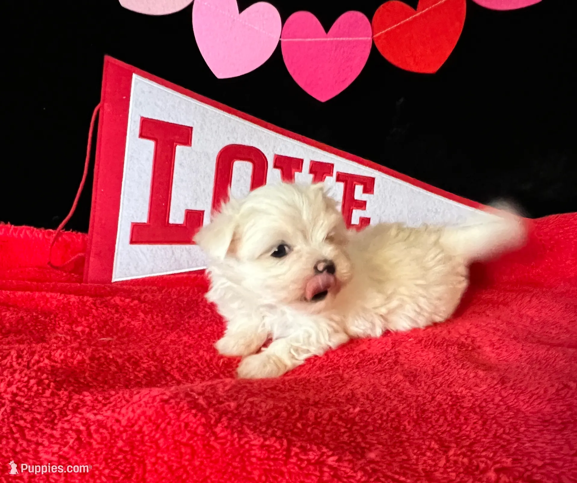 processed/3a7d16b6-fef9-4d2b-ab61-42d354c7a74d/listing/a5564409-ad25-49d8-8187-6bf74052d8ec/9eaa4db0-b7e5-4093-aae7-87d3712961c1