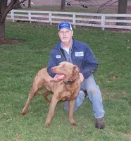 RF105hold, a male Chesapeake Bay Retriever for sale in Scottsville, KY – Photo 7 of 7
