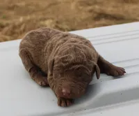 processed/3a884b3b-e035-4c31-9487-6dd4f369db1c/listing/19232d6b-a4a0-4d4b-8815-b285e3dcc20c/c4010371-f509-44d7-95c5-fdbf7a76562b