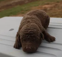 processed/3a884b3b-e035-4c31-9487-6dd4f369db1c/listing/19232d6b-a4a0-4d4b-8815-b285e3dcc20c/dfe3079f-a944-4679-89c2-e20a191763ef