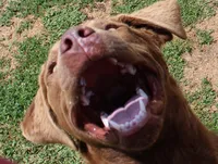 processed/3a884b3b-e035-4c31-9487-6dd4f369db1c/listing/37ef16b1-54a3-4597-b25a-8ca007a007f1/0703fb01-e79a-40c7-8f6d-ba7a8f354bc6