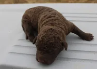 processed/3a884b3b-e035-4c31-9487-6dd4f369db1c/listing/3b9c132a-3592-43e3-a118-c9fd49dc7a86/0464e95c-3805-457c-9c32-3705d0ac9f10