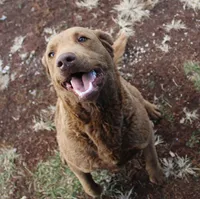 processed/3a884b3b-e035-4c31-9487-6dd4f369db1c/listing/3b9c132a-3592-43e3-a118-c9fd49dc7a86/8b3f40be-d135-4e27-bff2-911b662bcca3