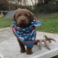 processed/3a884b3b-e035-4c31-9487-6dd4f369db1c/listing/45638d3a-a104-454d-8e9a-c1f22a980eb3/07cb89de-9a42-40dc-9c4d-b21cb5c6f7d7