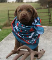 processed/3a884b3b-e035-4c31-9487-6dd4f369db1c/listing/45638d3a-a104-454d-8e9a-c1f22a980eb3/0a98e123-5672-4ac6-9075-cf423e41db29