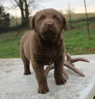 processed/3a884b3b-e035-4c31-9487-6dd4f369db1c/listing/45638d3a-a104-454d-8e9a-c1f22a980eb3/17cb7ea3-0083-4dc3-b2ef-f834e13aa969