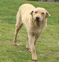 processed/3a884b3b-e035-4c31-9487-6dd4f369db1c/listing/45638d3a-a104-454d-8e9a-c1f22a980eb3/3ad81ccc-7c59-4a76-9ef0-f10f61f57f15