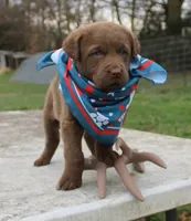 processed/3a884b3b-e035-4c31-9487-6dd4f369db1c/listing/45638d3a-a104-454d-8e9a-c1f22a980eb3/417e4be1-831c-4ade-8c68-53613bc43eeb