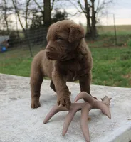 processed/3a884b3b-e035-4c31-9487-6dd4f369db1c/listing/45638d3a-a104-454d-8e9a-c1f22a980eb3/c5fdca3e-b256-4c9f-8d9b-eb9a62123bd9