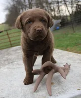 processed/3a884b3b-e035-4c31-9487-6dd4f369db1c/listing/45638d3a-a104-454d-8e9a-c1f22a980eb3/c9b74b86-546f-407d-a690-4fdd72c1087a