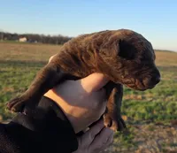 processed/3a884b3b-e035-4c31-9487-6dd4f369db1c/listing/58071732-4175-4394-8ec8-9a848f49f484/1f1f5ace-b88e-4b37-8fe6-85cd45d9a57c