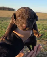 processed/3a884b3b-e035-4c31-9487-6dd4f369db1c/listing/58071732-4175-4394-8ec8-9a848f49f484/23908582-3453-4074-9f2e-05d7cb5ac10f