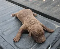 processed/3a884b3b-e035-4c31-9487-6dd4f369db1c/listing/58071732-4175-4394-8ec8-9a848f49f484/38a14e14-f404-4db6-af53-3093081069a3