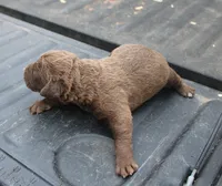 processed/3a884b3b-e035-4c31-9487-6dd4f369db1c/listing/58071732-4175-4394-8ec8-9a848f49f484/776e4cb3-cb19-4601-a7bc-4c4718607bd8