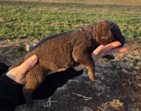 processed/3a884b3b-e035-4c31-9487-6dd4f369db1c/listing/58071732-4175-4394-8ec8-9a848f49f484/86c5e22c-2243-4d55-be10-a4a247c7a158