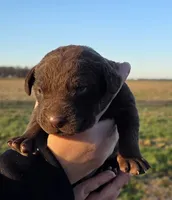 processed/3a884b3b-e035-4c31-9487-6dd4f369db1c/listing/58071732-4175-4394-8ec8-9a848f49f484/f1b5a30e-4d54-40f2-8c99-34d7e3f082c7